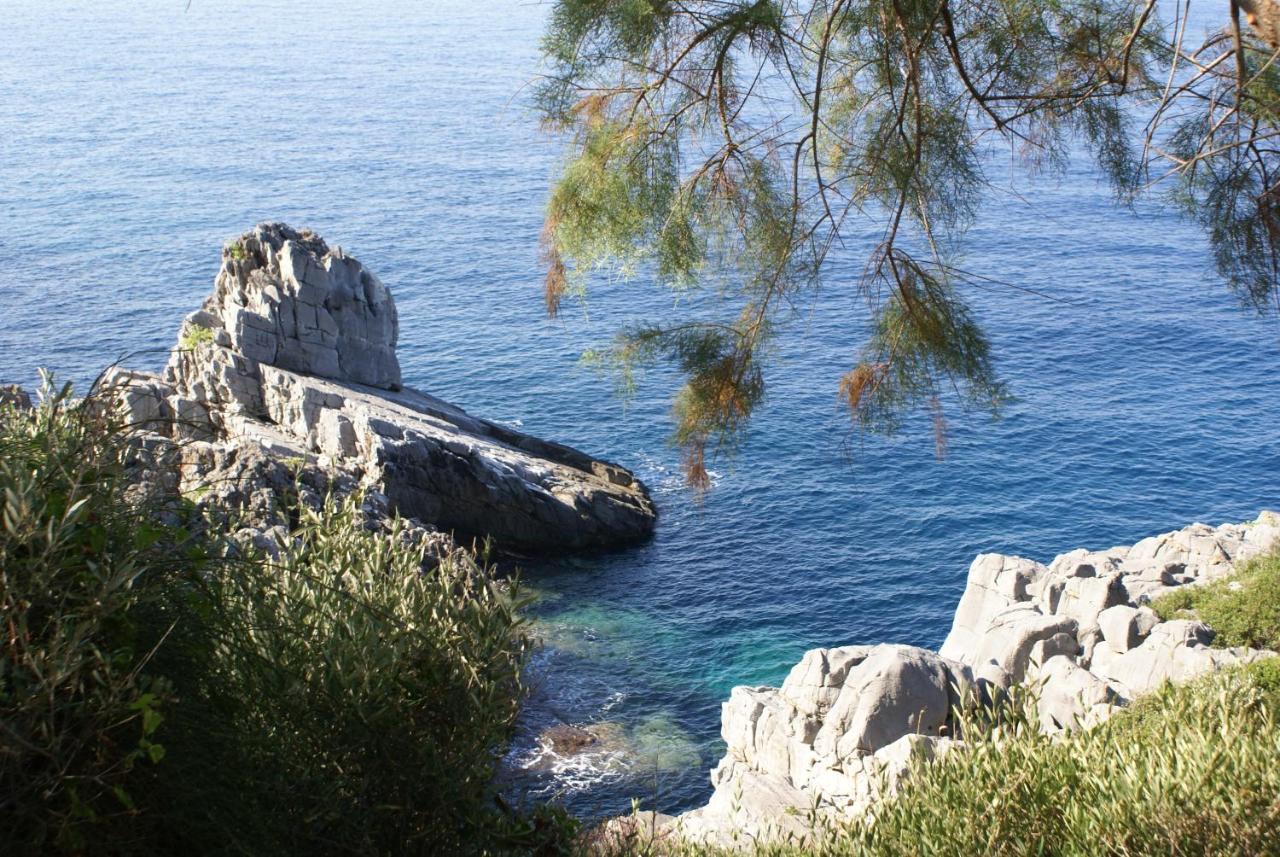 Katafigio Village Kotronion  外观 照片